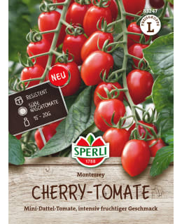 KIRSIKKATOMAATTI MONTERREY F1 Main Image