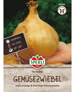 JÄTTISIPULI THE KALSAE Main Image