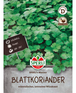 KORIANTERI MARINO ANN D SIEMEN Main Image