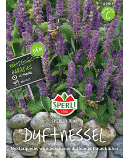 MEKSIKONIISO Main Image