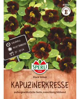 DWARF NASTURTIUM BLACK VELVET Main Image