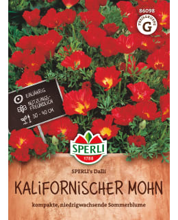 KALIFORN.TULIUNIKKO SPERLI'S DALLI Main Image