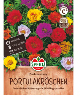 Portulaca Main Image