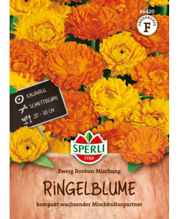 COMMON MARIGOLD ZWERG BONBON Main Image