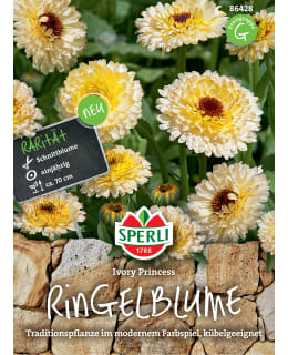 TARHAKEHÄKUKKA IVORY PRINCESS SIEMEN Main Image