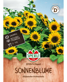 Common sunflower Sperli's Gigant Main Image