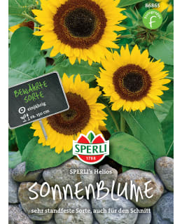 ISOAURINGONKUKKA HELIOS ANN SIEMEN Main Image