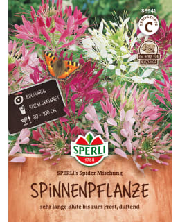 HÄMÄHÄKKIKUKKA SEKOITE ANN SIEMEN Main Image