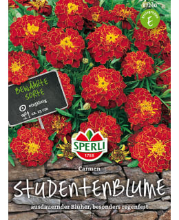 RYHMÄSAMETTIKUKKA CARMEN SIEMEN Main Image