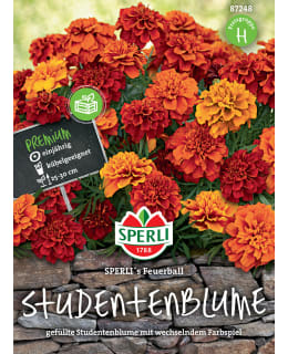 RYHMÄSAMETTIK SPERLI'S FEUERBALL SIEMEN Main Image