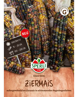 KORISTEMAISSI GLASS GEM Main Image