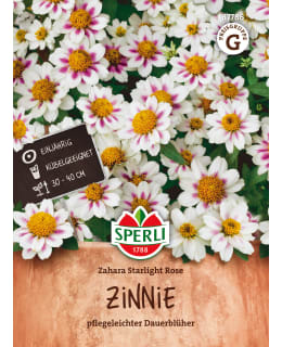 Zinnia Zahara Starlight Rose Main Image