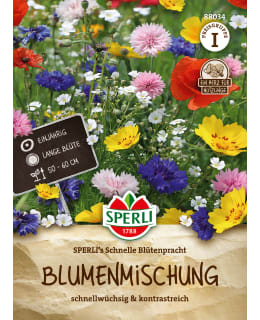 Summerflowers Schnelle Blütenpracht Main Image