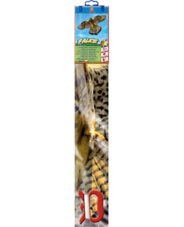 GUNTHER HAUKKA LEIJA Main Image