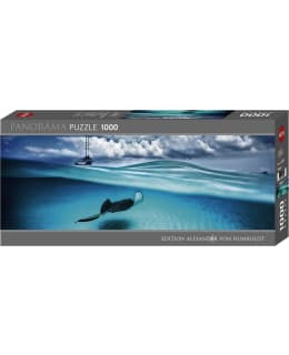 HEYE AVH STINGRAY 1000P PALAPELI Main Image