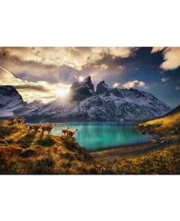 HEYE AVH GUANACOS 1000P PALAPELI Main Image