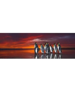 HEYE AVH KING PENGUINS 1000P PALAPELI Main Image