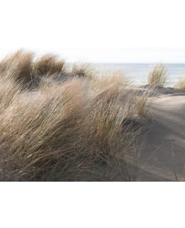 47219 SMART ART EASY 2,12X2,7MKUVATAP Main Image