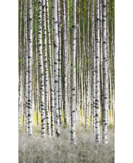 47220 SMART ART EASY 1,59X2,7MKUVATAP Main Image