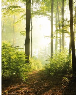 47221 SMART ART EASY 2,12X2,7MKUVATAP Main Image