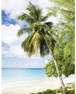 47269 SMART ART EASY 2,12X2,7MKUVATAP Main Image