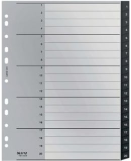Leitz Recycle A4 1-20 rekisteri Main Image