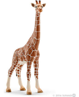 SCHLEICH 14750 KIRAHVI NAARAS Main Image