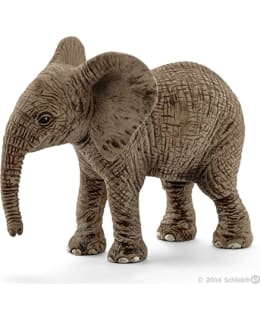 SCHLEICH 14763 AFRIKANNORSU POIKANEN Main Image