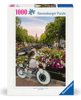 RB BICYCLE AMSTERDAM  1000P PALAPELI Main Image