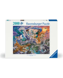 RB PEGASUS AND FRIENDS 2000P PALAPELI Main Image