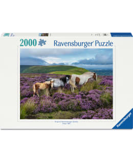 RB HORSES 2000P PALAPELI Main Image