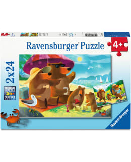 RB BEAR FAMILY VACATIONS 2X24P PALAPELI Main Image