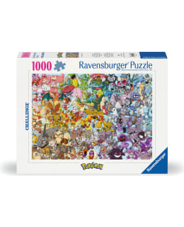 RB CHALLENGE POKEMON 1000P PALAPELI Main Image