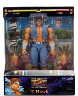 STREET FIGHTER II T. HAWK 8" FIGURE Main Image