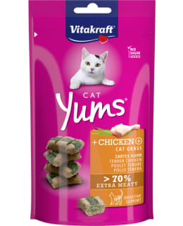 VITAKRAFT CAT YUMS KANA&KISSANRUOHO 40G Main Image