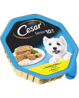 CESAR SENIOR KANA&RIISI HYYTELÖSSÄ 150 G Main Image