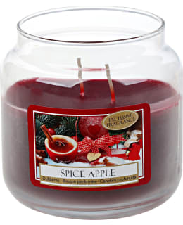 STEINHART 10X10CM SPICE APPLE TUOKSUKYNT Main Image