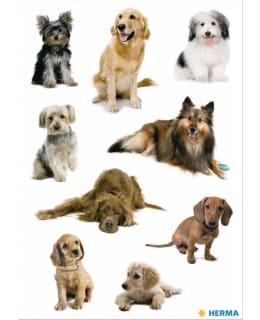 LINNAPAPERI 3432 DECOR-TARRA Main Image