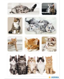 LINNAPAPERI 15456 DECOR-TARRA Main Image