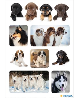 LINNAPAPERI 15622 DECOR-TARRA Main Image