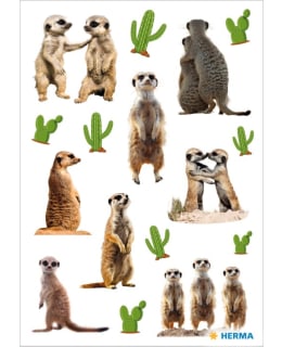 LINNAPAPERI 15785 DECOR-TARRA Main Image