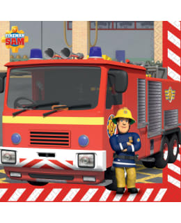 PALOMIES SAMI LAUTASLIINA 16KPL Main Image