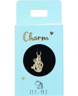 TREND CHARMS NRO22  VESIMIES RIIPUS Main Image