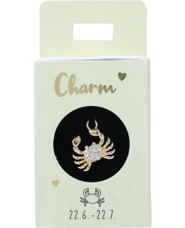 TREND CHARMS NRO27  RAPU RIIPUS Main Image