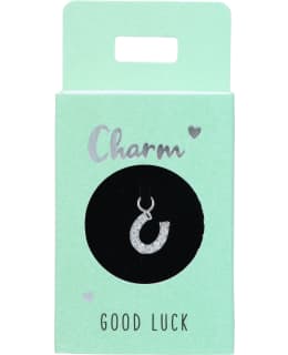 TREND CHARMS NRO57  HEVOSENKENKÄ RIIPUS Main Image