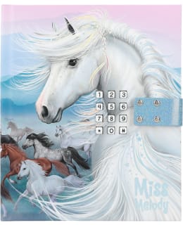 MISS MELODY SOIVA PÄIVÄKIRJA Main Image