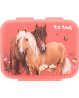 MISS MELODY FLOWERS EVÄSRASIA Main Image