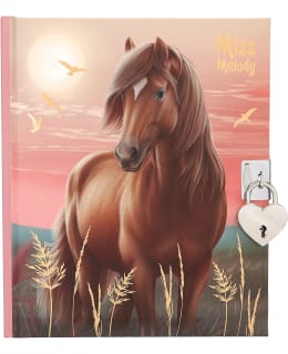 MISS MELODY PÄIVÄKIRJA Main Image