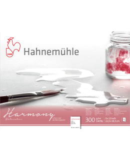 HAHNEMÜHLE HARMONY PK 24X30 AKV.LEHTIÖ Main Image