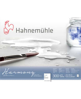 HAHNEMÜHLE HARMONY K 30X40 AKV.LEHTIÖ Main Image
